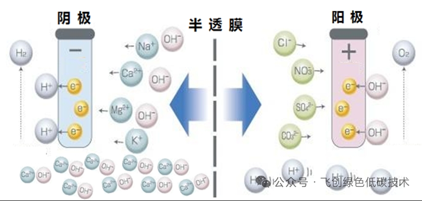 微信圖片_20251125221334_44_18.jpg